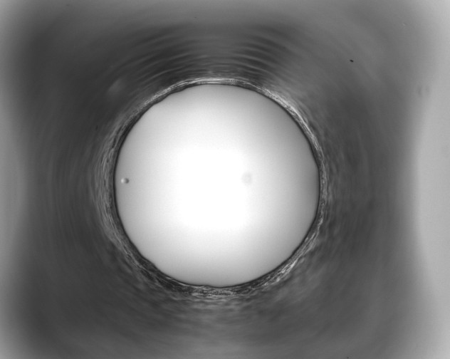 X0000088720337200705311101