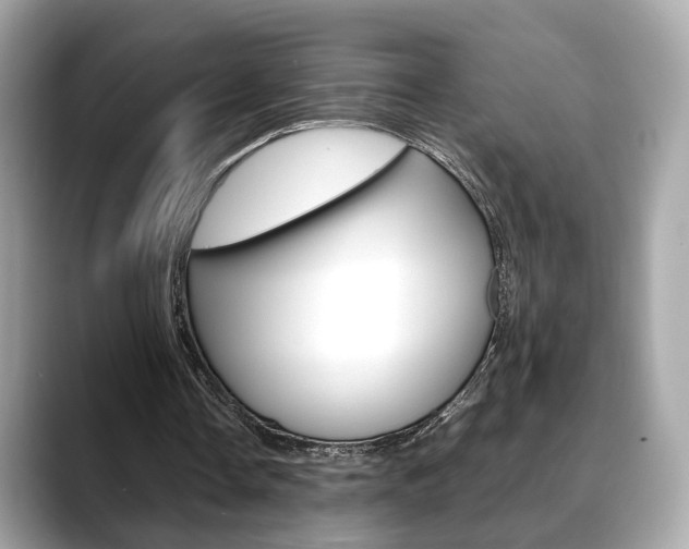 X0000088720338200705311101
