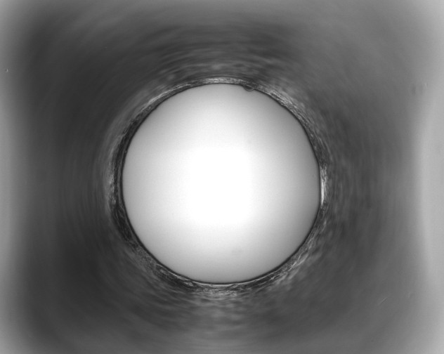 X0000088720339200705311101