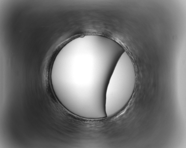X0000088720343200705311101