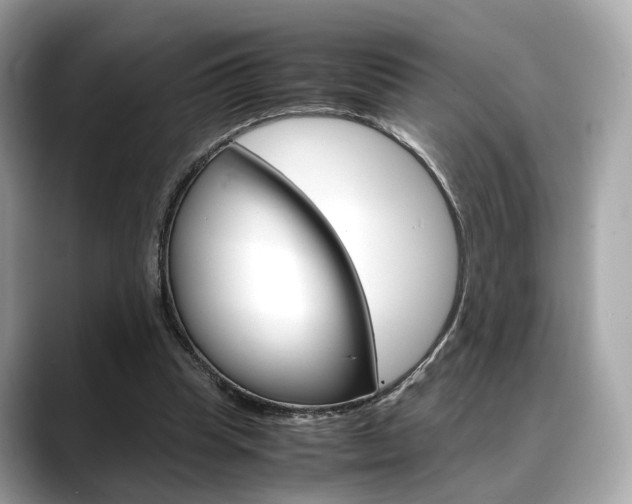 X0000088720345200705311101