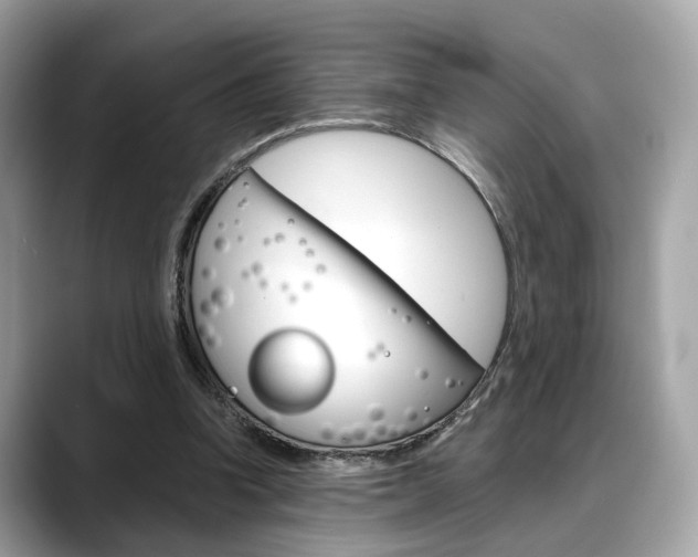 X0000088720346200705311101