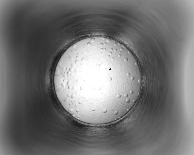X0000088720347200705311101