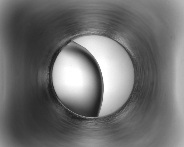 X0000088720348200705311101