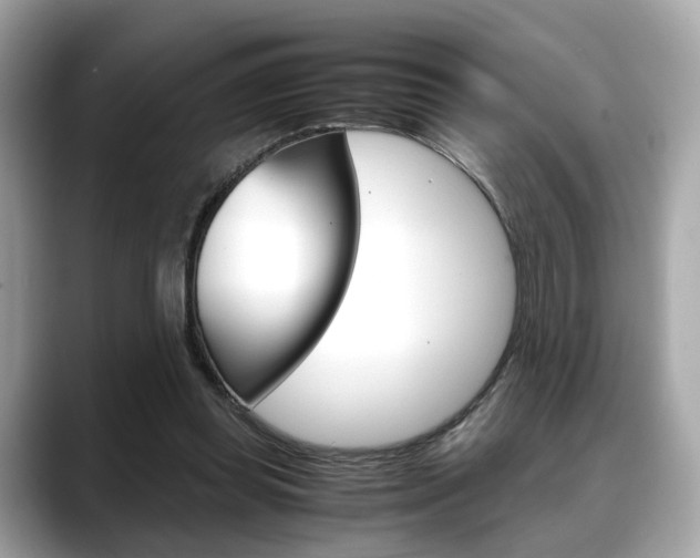 X0000088720349200705311101