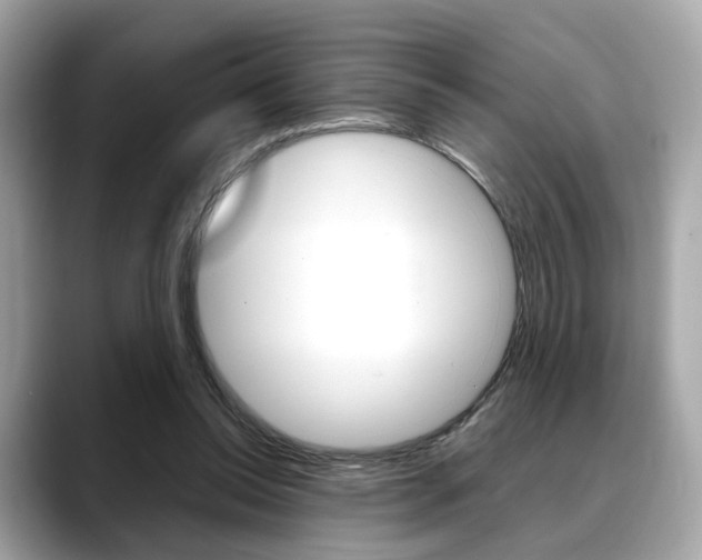 X0000088720350200705311101