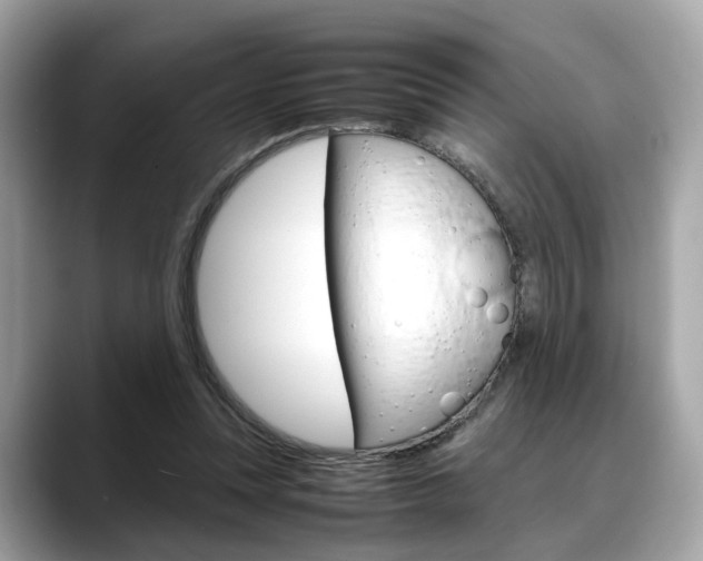 X0000088720351200705311101