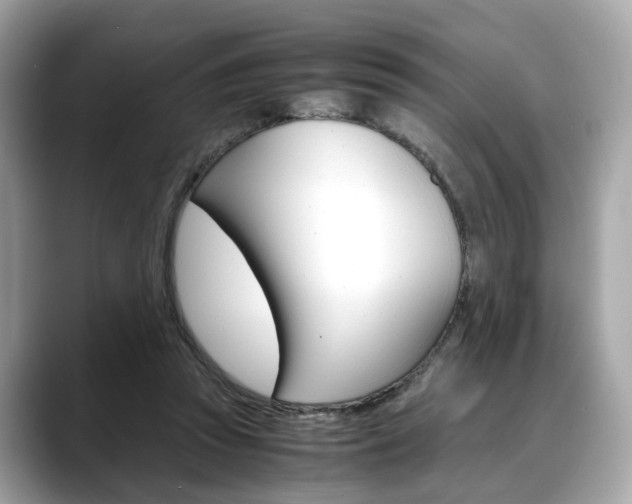 X0000088720353200705311101