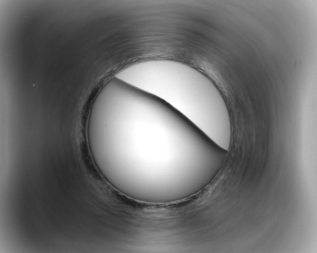 X0000088720354200705311101