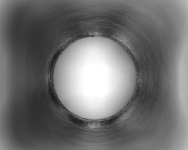 X0000088720355200705311101