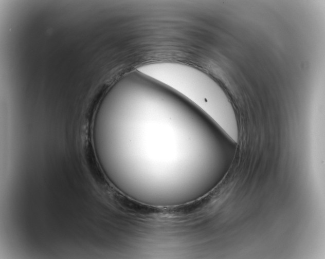 X0000088720356200705311101