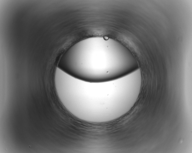 X0000088720358200705311101