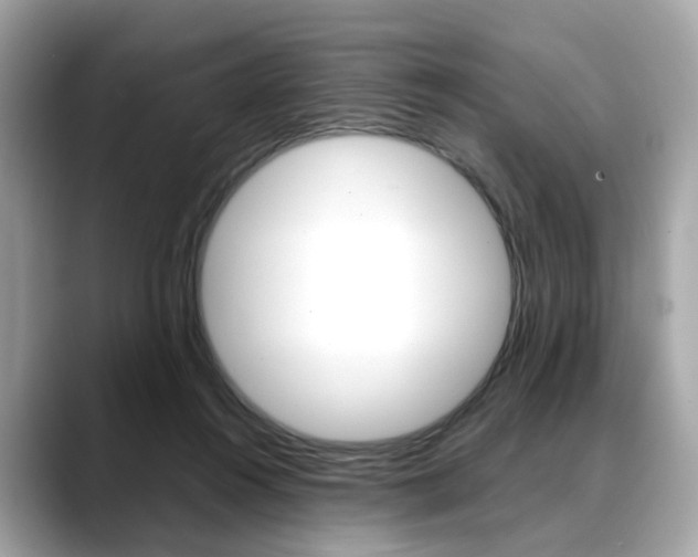 X0000088720360200705311101