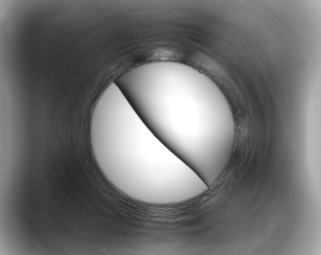 X0000088720361200705311101