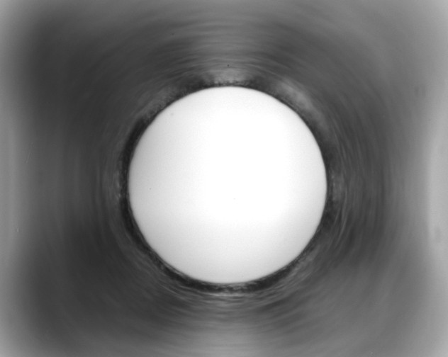 X0000088720362200705311101