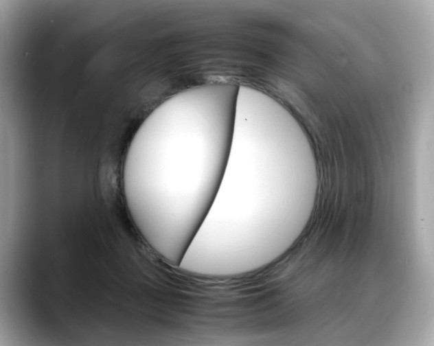 X0000088720363200705311101