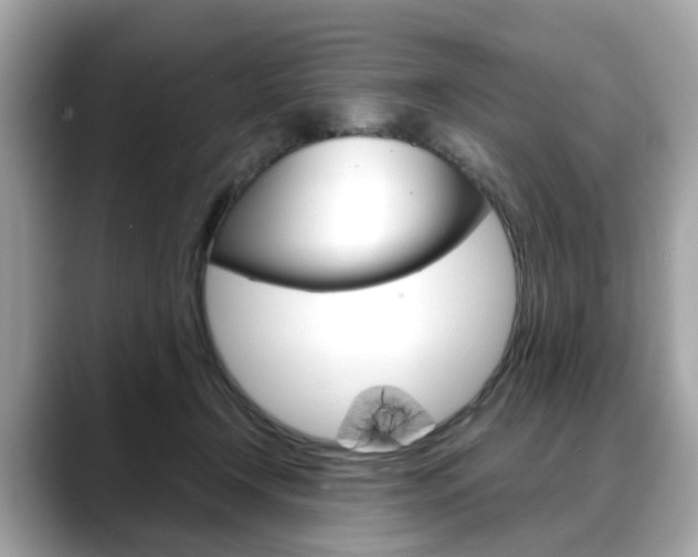X0000088720366200705311101