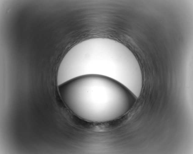 X0000088720368200705311101