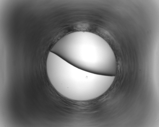 X0000088720371200705311101