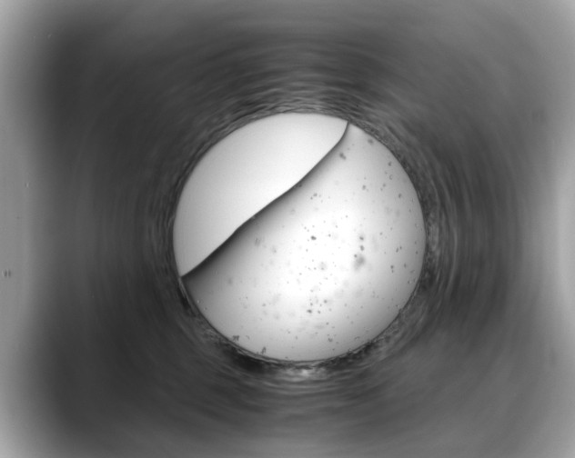 X0000088720375200705311101