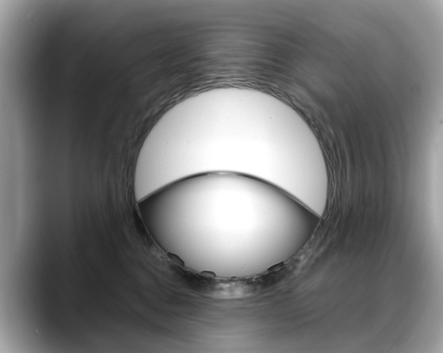 X0000088720376200705311101