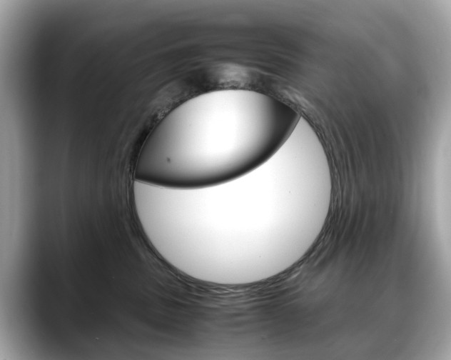 X0000088720379200705311101