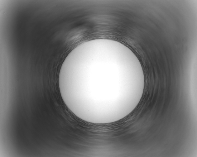 X0000088720380200705311101