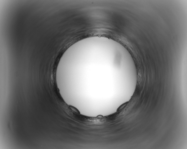 X0000088720381200705311101