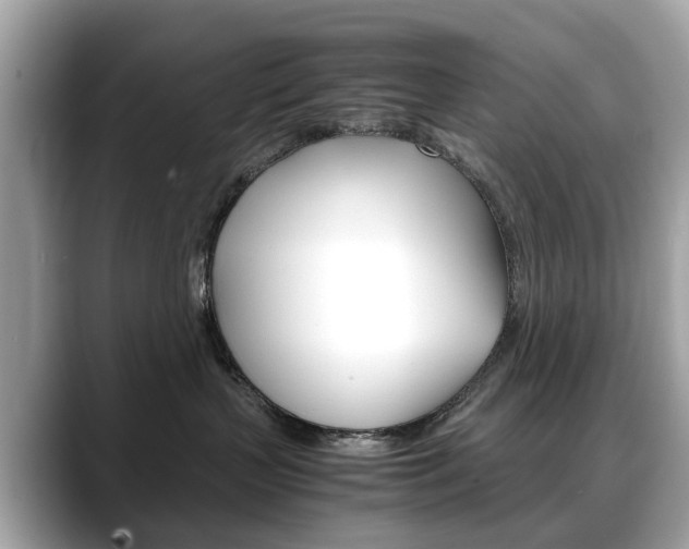 X0000088720383200705311101