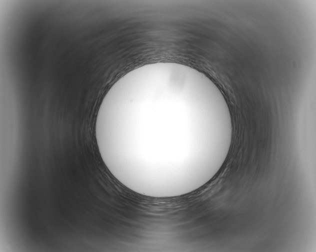 X0000088720384200705311102