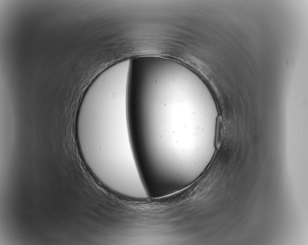 X0000088720385200705311101