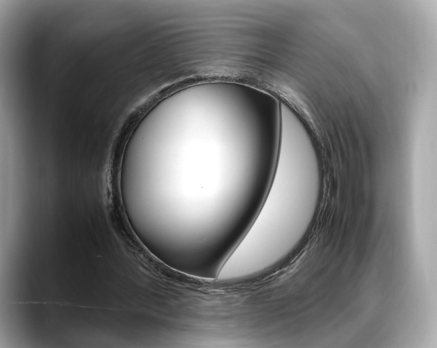 X0000088720388200705311101