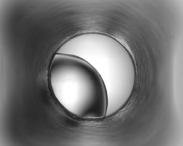 X0000088720389200705311101