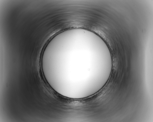 X0000088720390200705311101