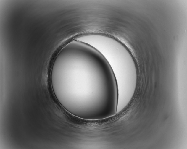 X0000088720391200705311101