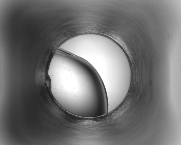 X0000088720393200705311101
