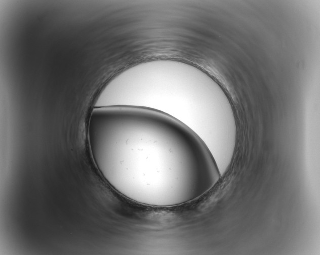 X0000088720397200705311101