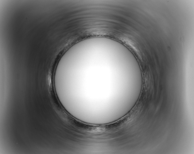 X0000088720398200705311101