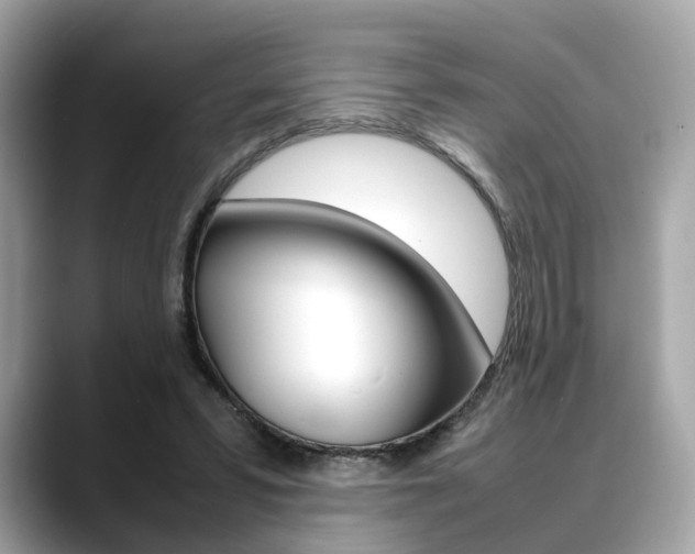 X0000088720399200705311101