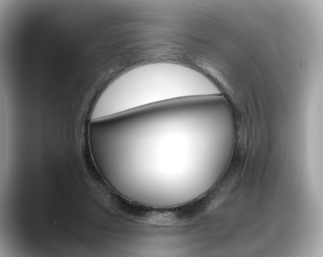 X0000088720403200705311101