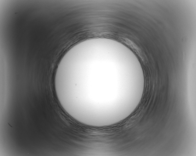 X0000088720405200705311101