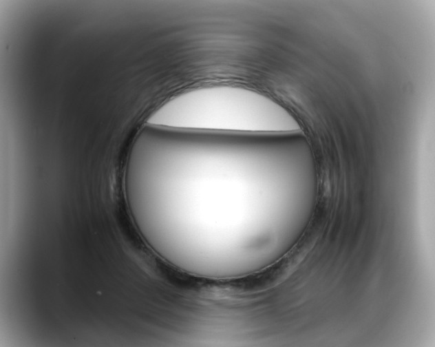X0000088720408200705311101