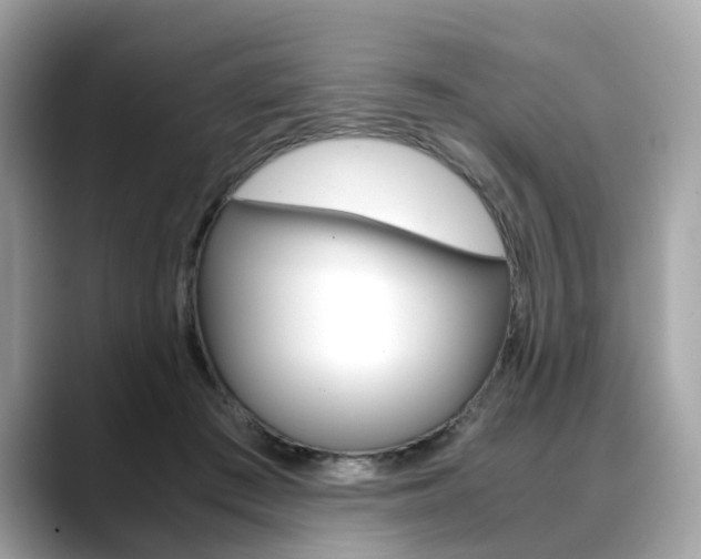 X0000088720409200705311101