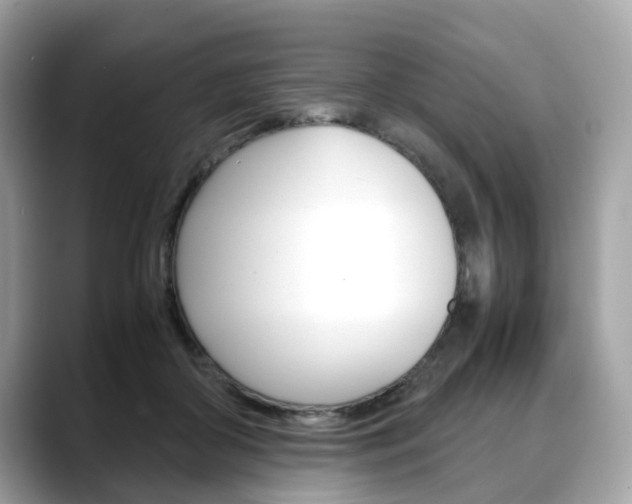 X0000088720410200705311101