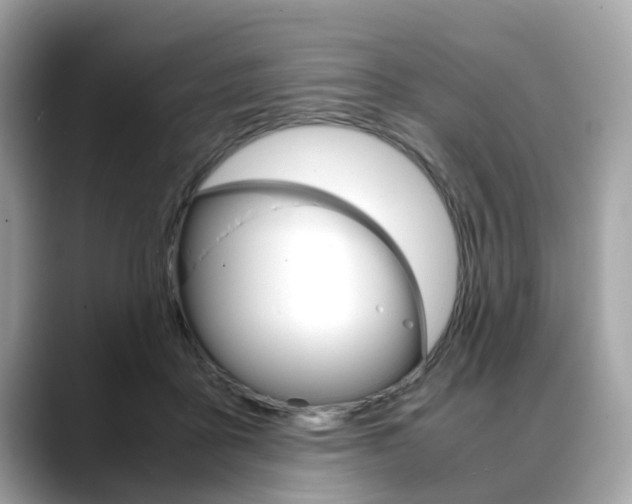 X0000088720411200705311101