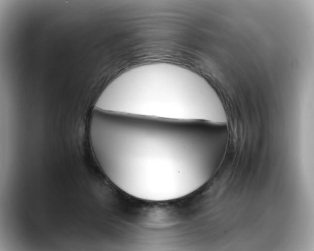 X0000088720412200705311101