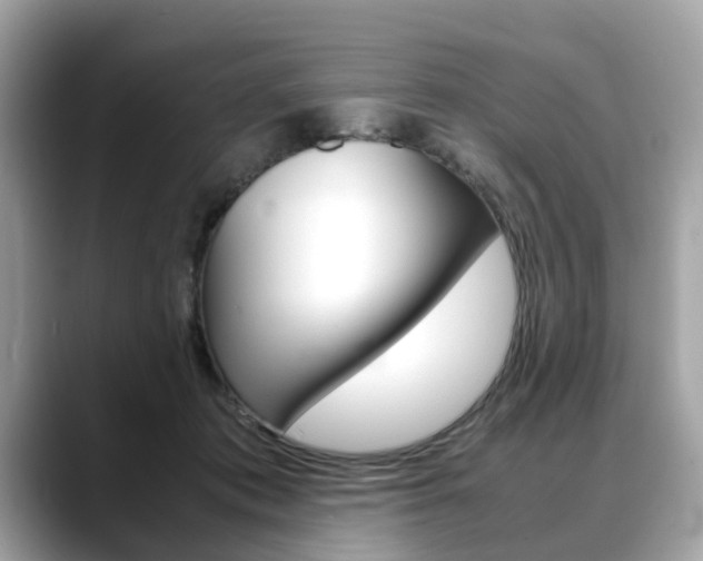 X0000088720413200705311101