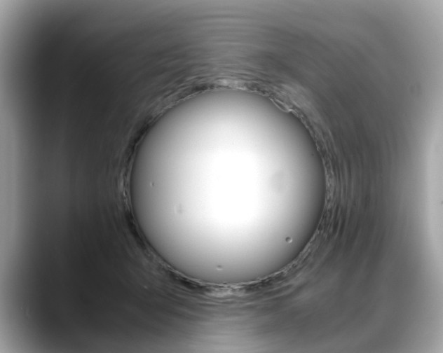 X0000088720415200705311101