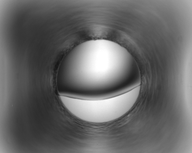 X0000088720416200705311101