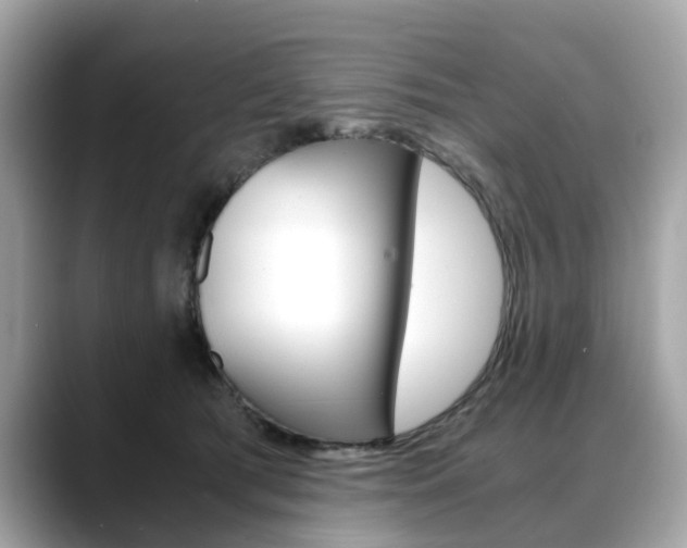 X0000088720417200705311101